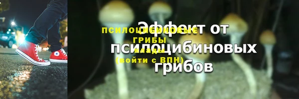 гидра Куйбышев