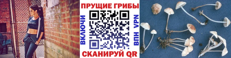 Галлюциногенные грибы ЛСД  Купить  Ивантеевка 
